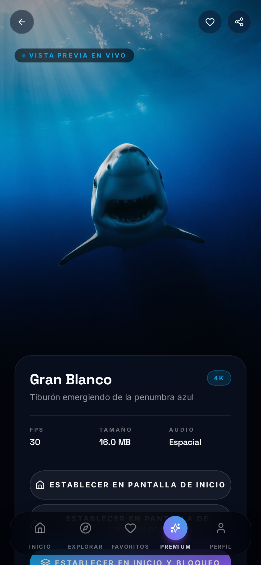 App móvil de wallpapers cinematográficos 4K/8K con vista previa en vivo